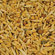 PlotSpike Forage Feast Food Plot Seed (40 lbs)