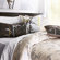 Inhabit Morning Glory Organic Bedding Collection in Silver