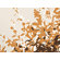 Inhabit Foliage Slat Hanging Panel Collection in Sunshine