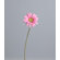 Heart to Heart Gerber Daisy Flower Wall Border