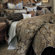 Michael Amini Portofino Comforter Set