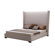 Sunpan Modern Pandora Wingback Bed