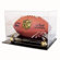 Caseworks International Coach's Choice Football Display Case
