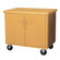 Shain Mobile Storage Cabinet