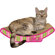 Imperial Cat Cozy Curl Recycled Paper Cat Scratching Board