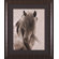 Art Effects Freedom Framed Artwork