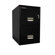 Sentry Safe 2 Drawer Vertical Letter Water Resistant File