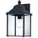 Dolan Designs Charleston 13" H Outdoor Wall Lantern in Black
