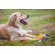 Kurgo Winga Disc Thrower Dog Toy