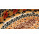Euroquest Imports Polish Pottery 6" Oval Baking Pan - Pattern DU70