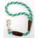 Mendota Twist Traffic Leash in Seafoam