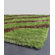 Chandra Rugs Fola Green Rug