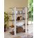 Hokku Designs Ellise Bookcase/Display Stand in Matte Walnut and White