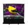 Elite Screens MaxWhite ez-Cinema Series Floor Stand TeleScoping Pull Up Screen - 84" Diagonal