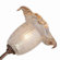 Lite Source Six Light Floor Lamp in Aged Gold with Flowered Amber Glass
