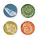 Thomas Paul Sea Life Coaster Dish (Set of 4)