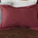 Coyuchi Swiss Dot Sham