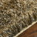 Surya Rug Boulevard Ivory Rug