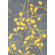 Foreign Accents Festival Grey/Canary Yellow Rug