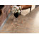Armstrong Carmona Stone 8mm Carmona Stone Piedre Laminate