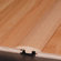 Armstrong 0.25" x 2" Hickory T-Molding in Rock Rose - Sculpted