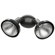 Coleman Cable Decorative Incandescent Double Flood Light