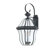 Quoizel Sussex Outdoor Wall Lantern