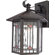 Quoizel Small Chaparral Outdoor Wall Lantern in Medici Bronze