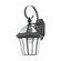 Quoizel Sussex Outdoor Wall Lantern