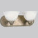 Progress Lighting Avalon Vanity Light in Brushed Nickel