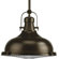 Progress Lighting Fresnel Lens 1 Light Pendant