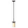 Hinkley Lighting Casa 1 Light Mini Pendant