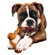 Precision Pet Products SpinZ Large Dog Treat
