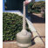 Commercial Zone Smokers Outpost Cigarette Receptacle