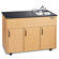 Ozark River Portable Sinks Advantage 2 Portable Hand Washing Station NSF Certified with Storage Cabinet