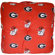 College Covers NCAA Floor Pillow
