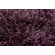 Linie Design Ronaldo Plum Rug