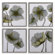 Uttermost 4 Piece Mini Floral Glow by Grace Feyock Wall Art Set - 22"x22"