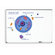 Learning Resources Giant Magnetic Animal Cell