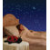 Cloud B Twilight Ladybug