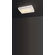 Arturo Alvarez Cebra Four Light Wall / Ceiling Light