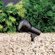 Kichler Black Outdoor Spot Light
