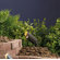 Kichler Architectural Bronze Mini Accent Spot Lighting 35W Set
