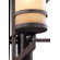 Troy Lighting Ranier 16 Light Chandelier