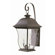 TransGlobe Lighting  Outdoor Wall Lantern in Black