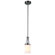 TransGlobe Lighting Young and Hip 1 Light Mini Pendant