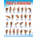 Trend Enterprises Chart Sign Language 17 X 22 Gr 1-2