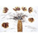 Yosemite Home Decor Floral Impressions II Canvas Art