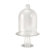 Wildon Home &reg; Sadie Cake Plate with Cloche