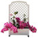 Exaco Calypso Square Planter with Trellis